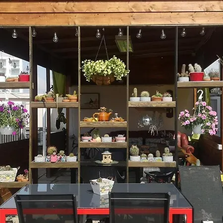 Dream (adults Only) Năvodari