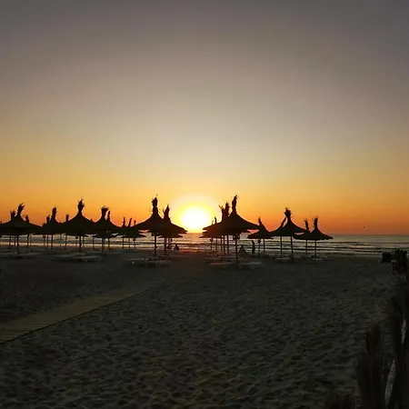 Dream (adults Only) Năvodari