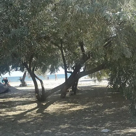 Dream (adults Only) Năvodari