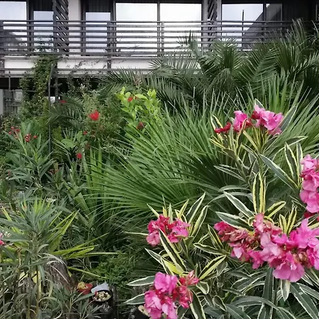 Hotel Dream (adults Only) 3*