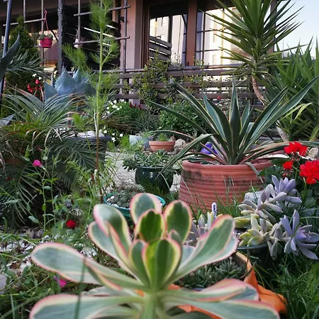 Dream (adults Only) Hotel Navodari